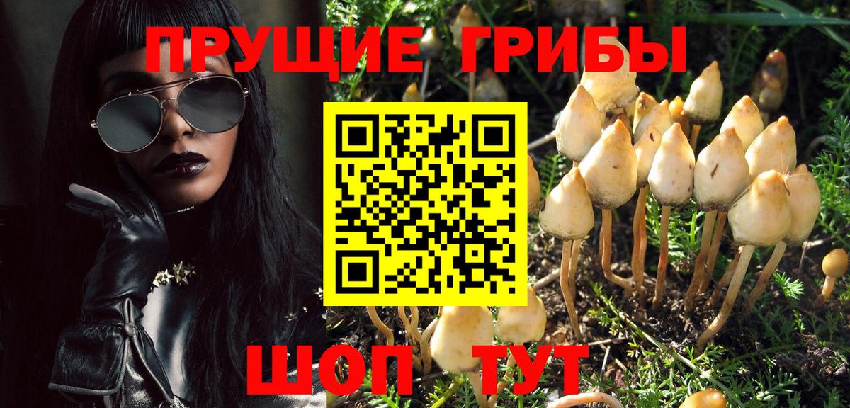 Псилоцибиновые грибы мухоморы Новотроицк