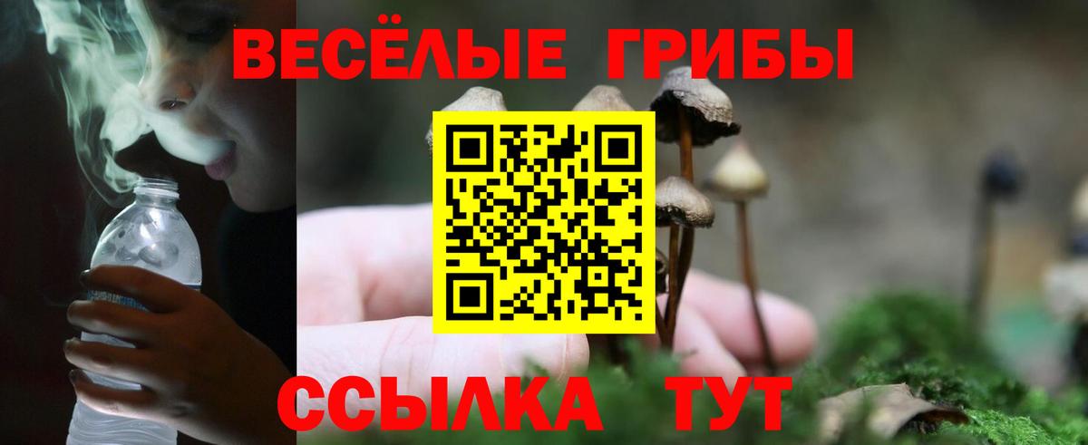 Новотроицк  Галлюциногенные грибы GOLDEN TEACHER  Псилоцибиновые грибы Psilocybine cubensis  Вход с VPN 